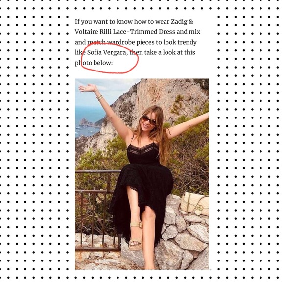 NWT Zadig & Voltaire - Rilli Midi Dress M - Picture 4 of 13